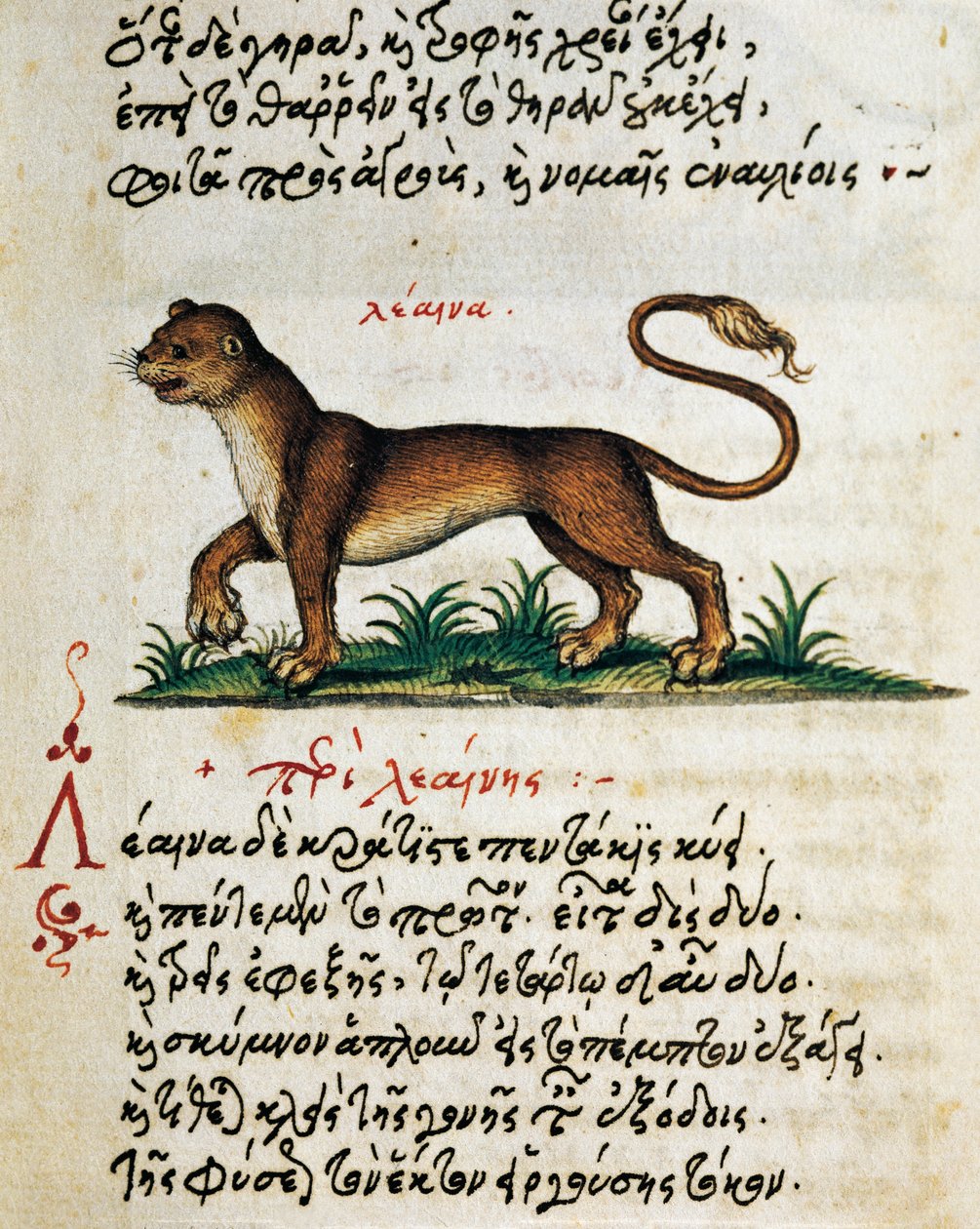 Verhandeling over Leeuw, tekst en miniatuur uit De animalium natura et proprietate libellus, door Aelianus (2e-3e eeuw na Christus) door Greek School
