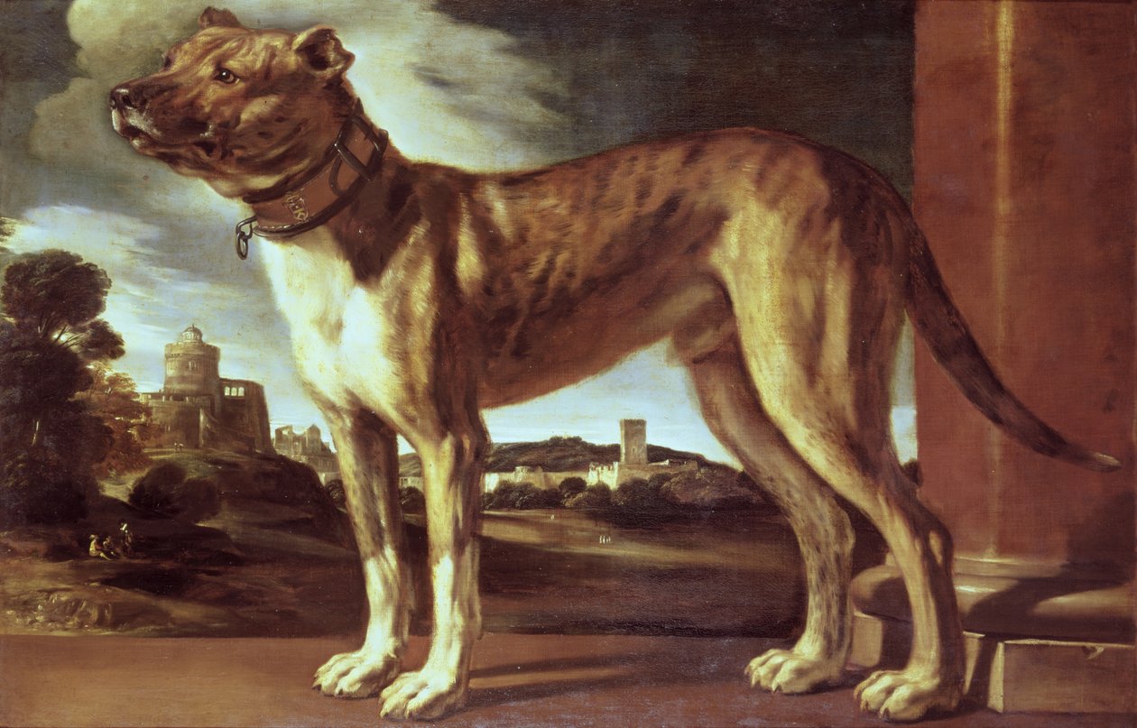 Portret van een Hond door Giovanni Francesco Barbieri