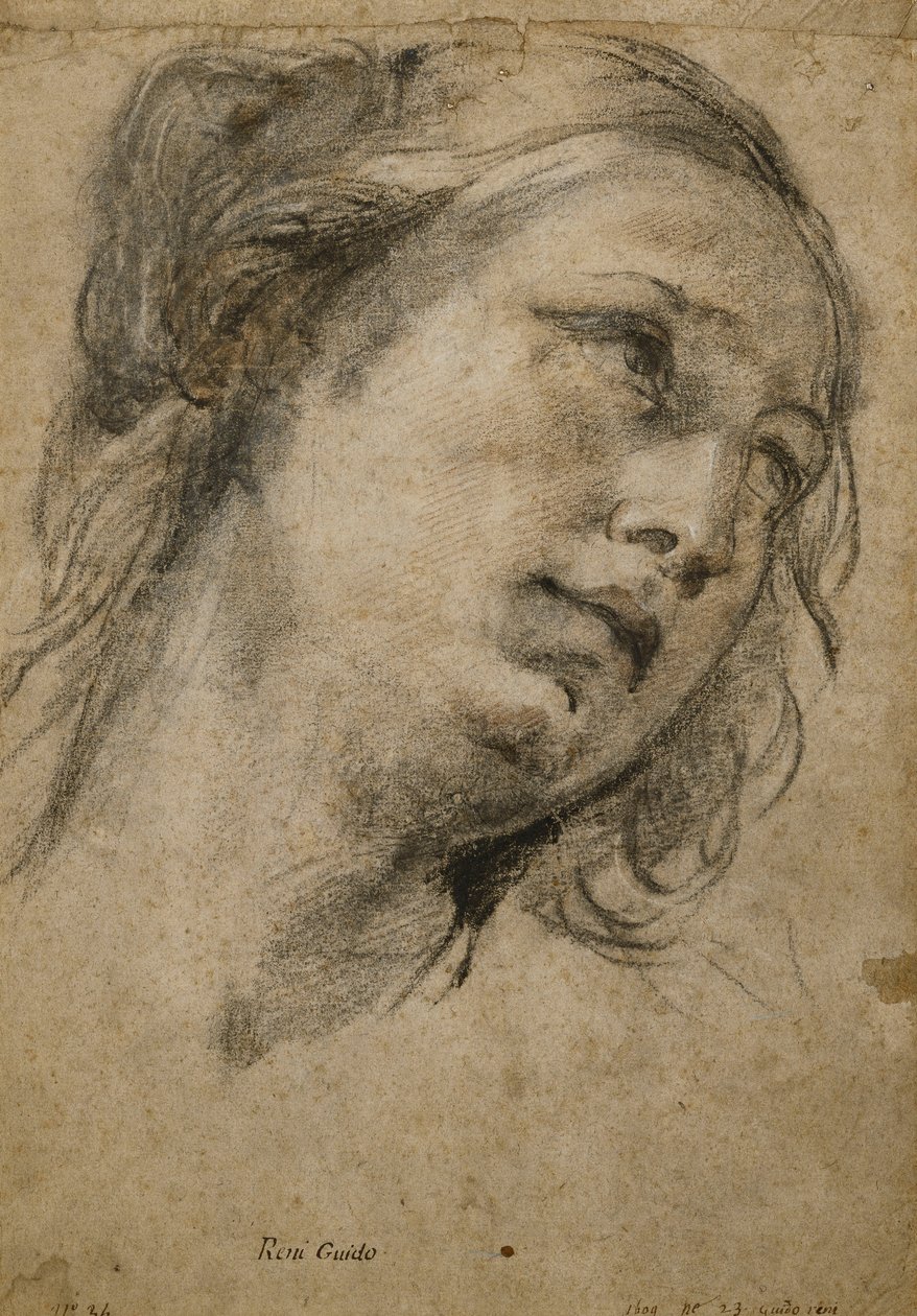 Hoofd van een vrouw die naar rechts kijkt door Guido Reni