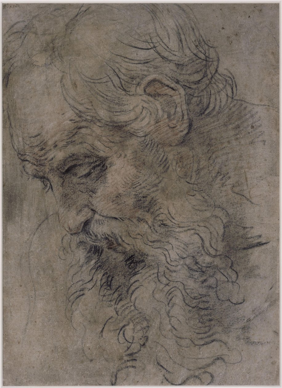 Hoofd van de heilige Paulus de kluizenaar door Guido Reni