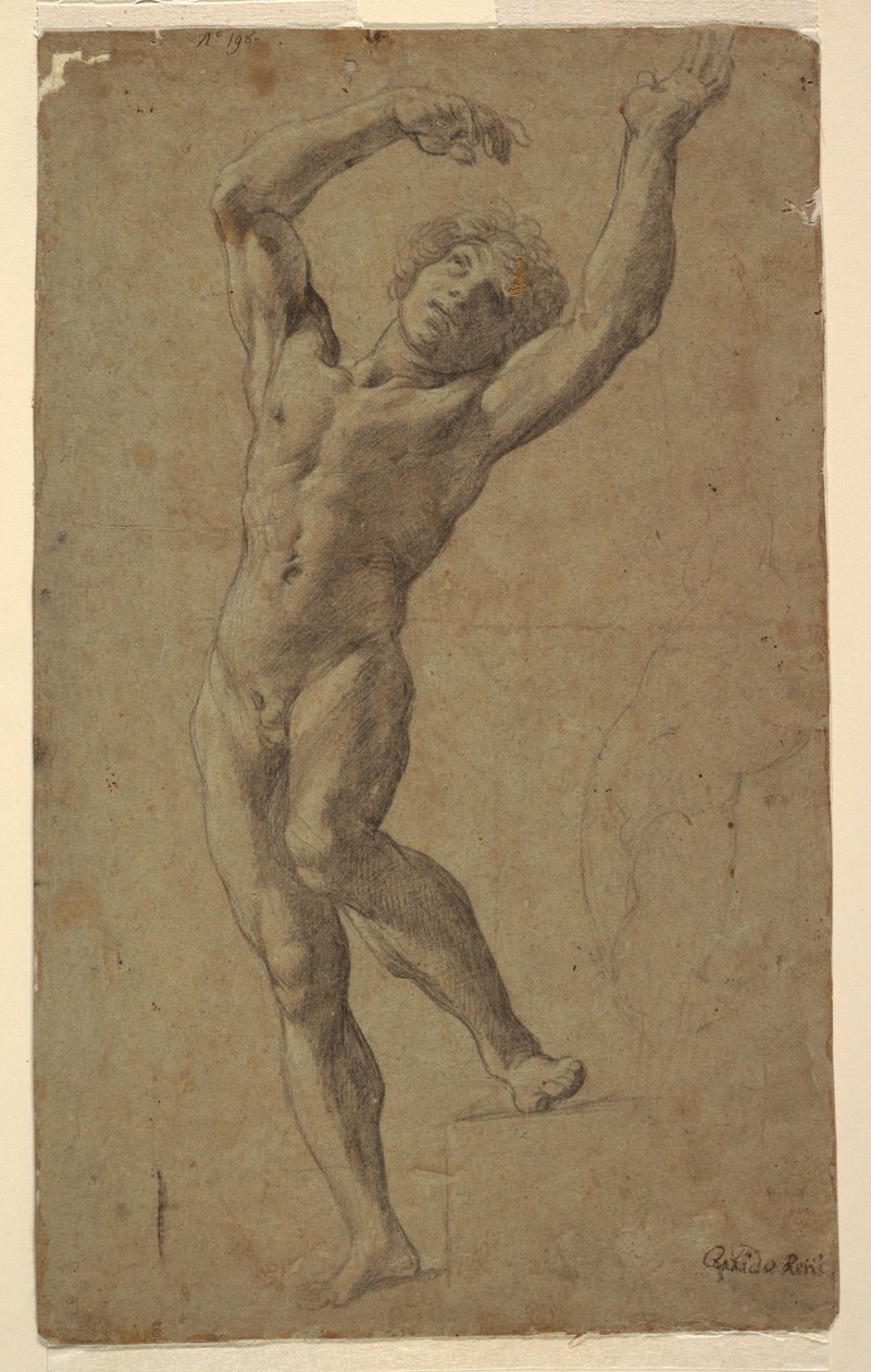 Studie voor St. Sebastiaan, Museo Pomarici Santomasi, Puglia, Italië door Guido Reni