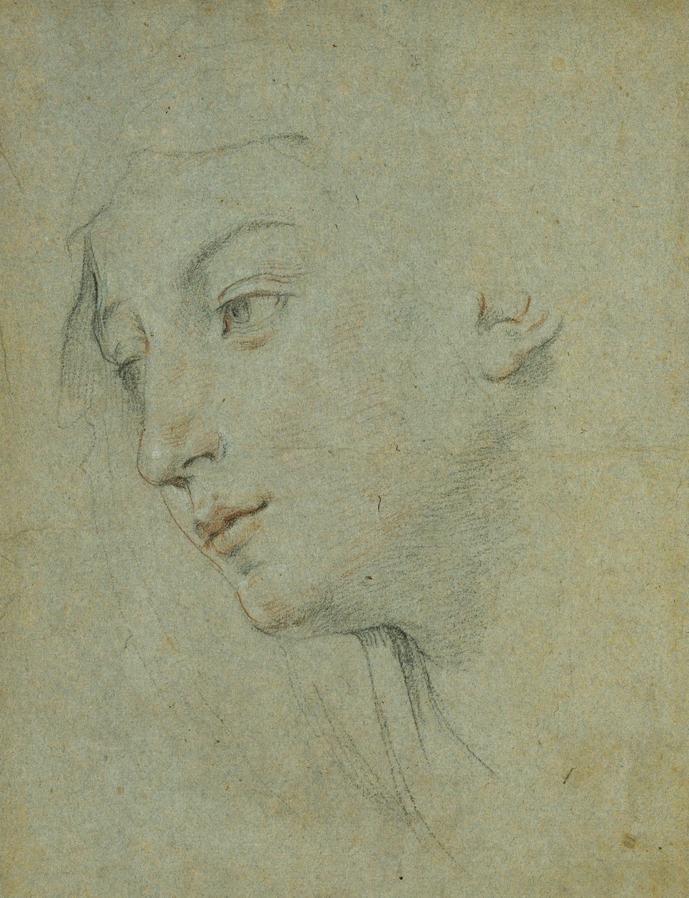 Het hoofd van een vrouw die naar links kijkt door Guido Reni
