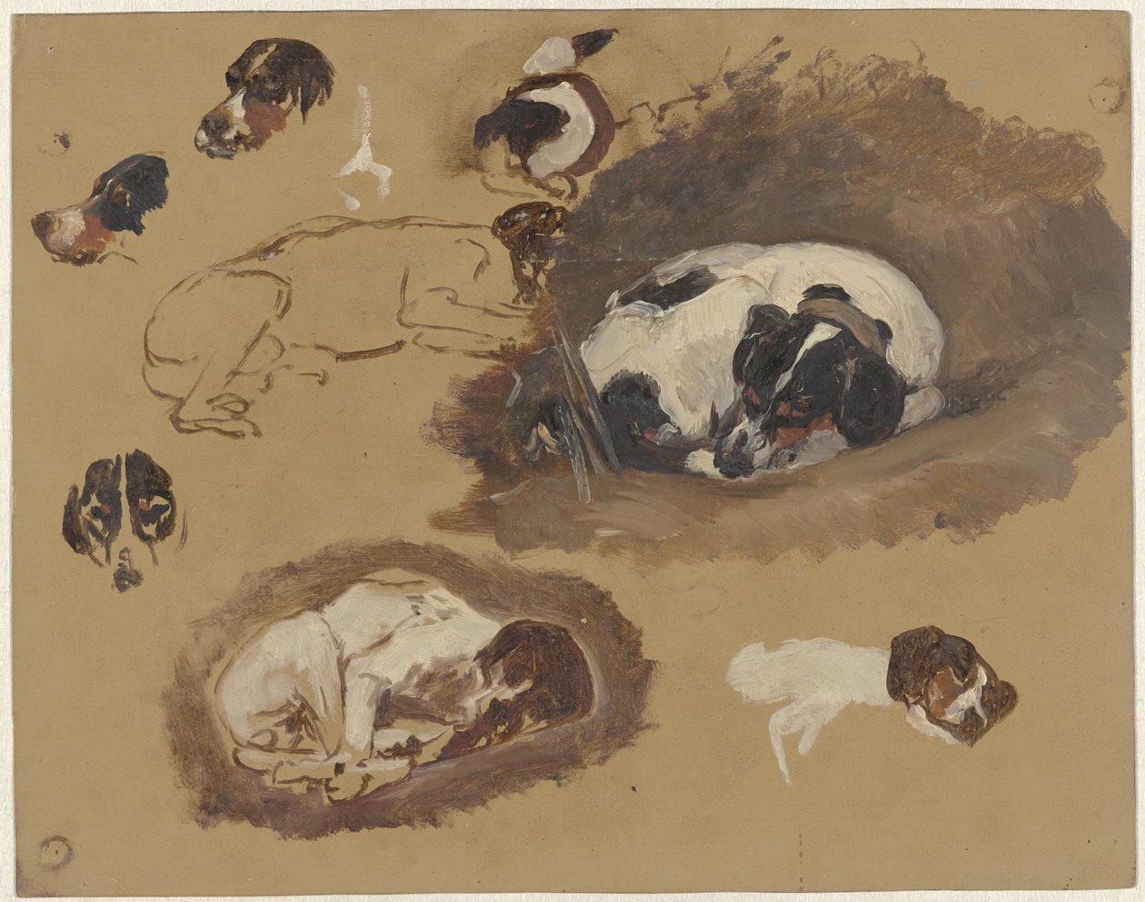 Studies van een jachthond door Guillaume Anne van der Brugghen