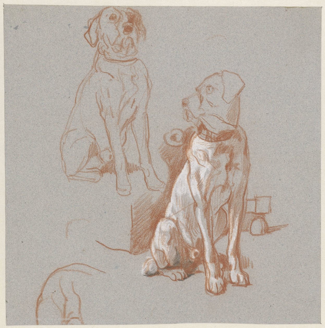 Twee studies van een zittende hond door Guillaume Anne van der Brugghen