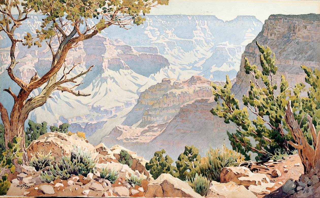 Grand Canyon door Gunnar Widforss