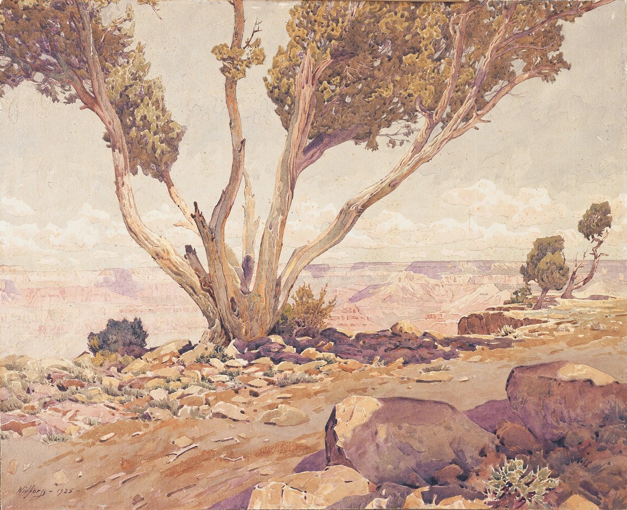 Grand Canyon door Gunnar Widforss