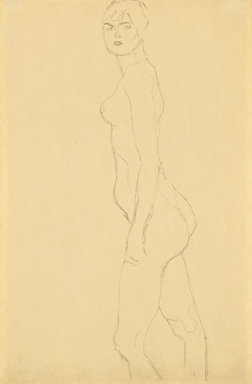 Naakt naar links door Gustav Klimt