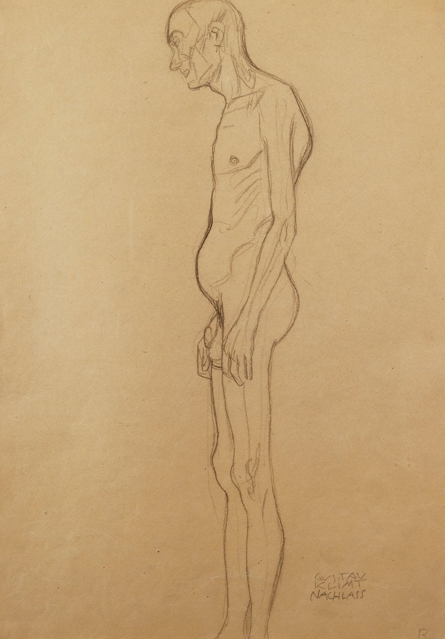 Naakte man naar links door Gustav Klimt