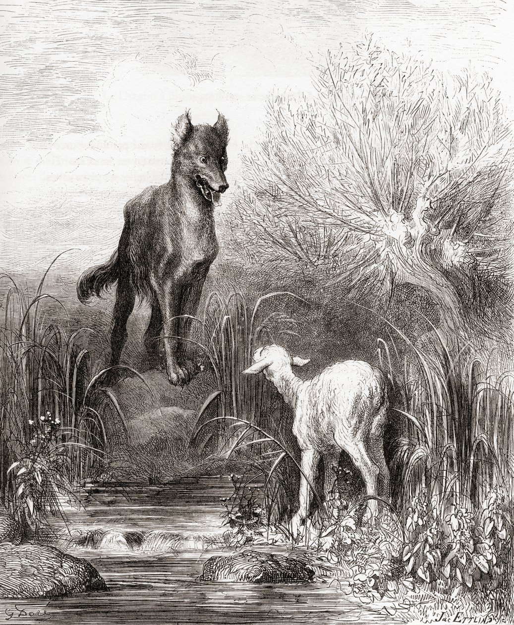 De wolf en het lam, uit een late 19e-eeuwse editie van Fabels de La Fontaine door Gustave Dore