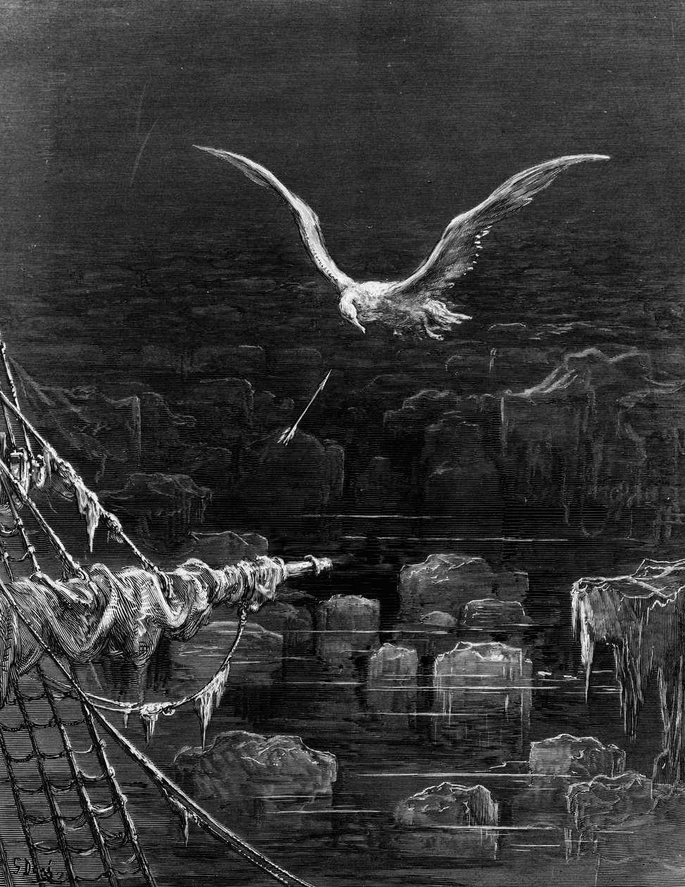De albatros wordt neergeschoten door de zeeman, scène uit 