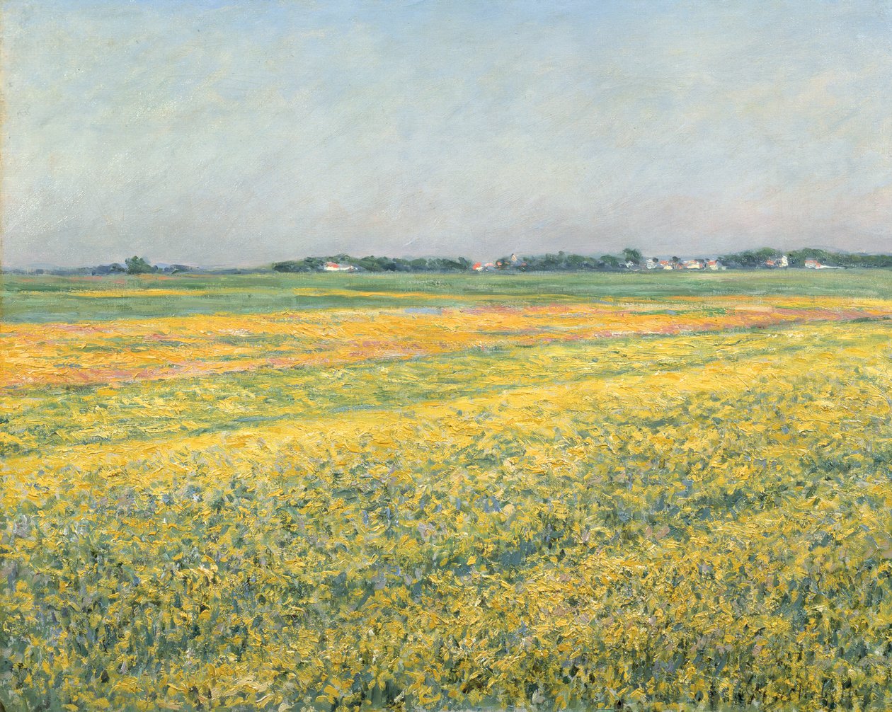 De vlakte van Gennevilliers, gele velden, 1884 door Gustave Caillebotte