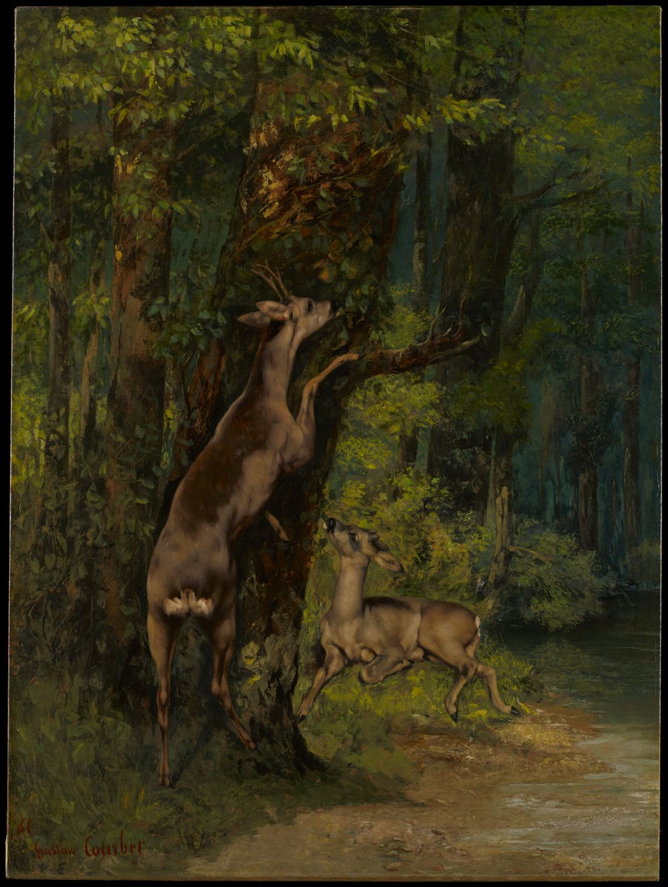 Herten in het bos door Gustave Courbet