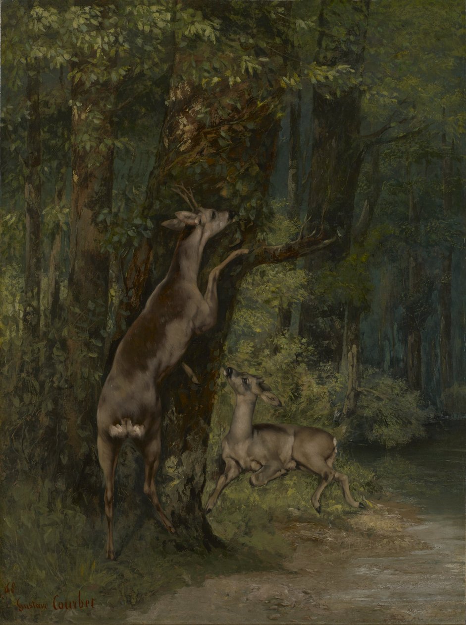 Frans: Cerfs dans la forêt Herten in het bos door Gustave Courbet