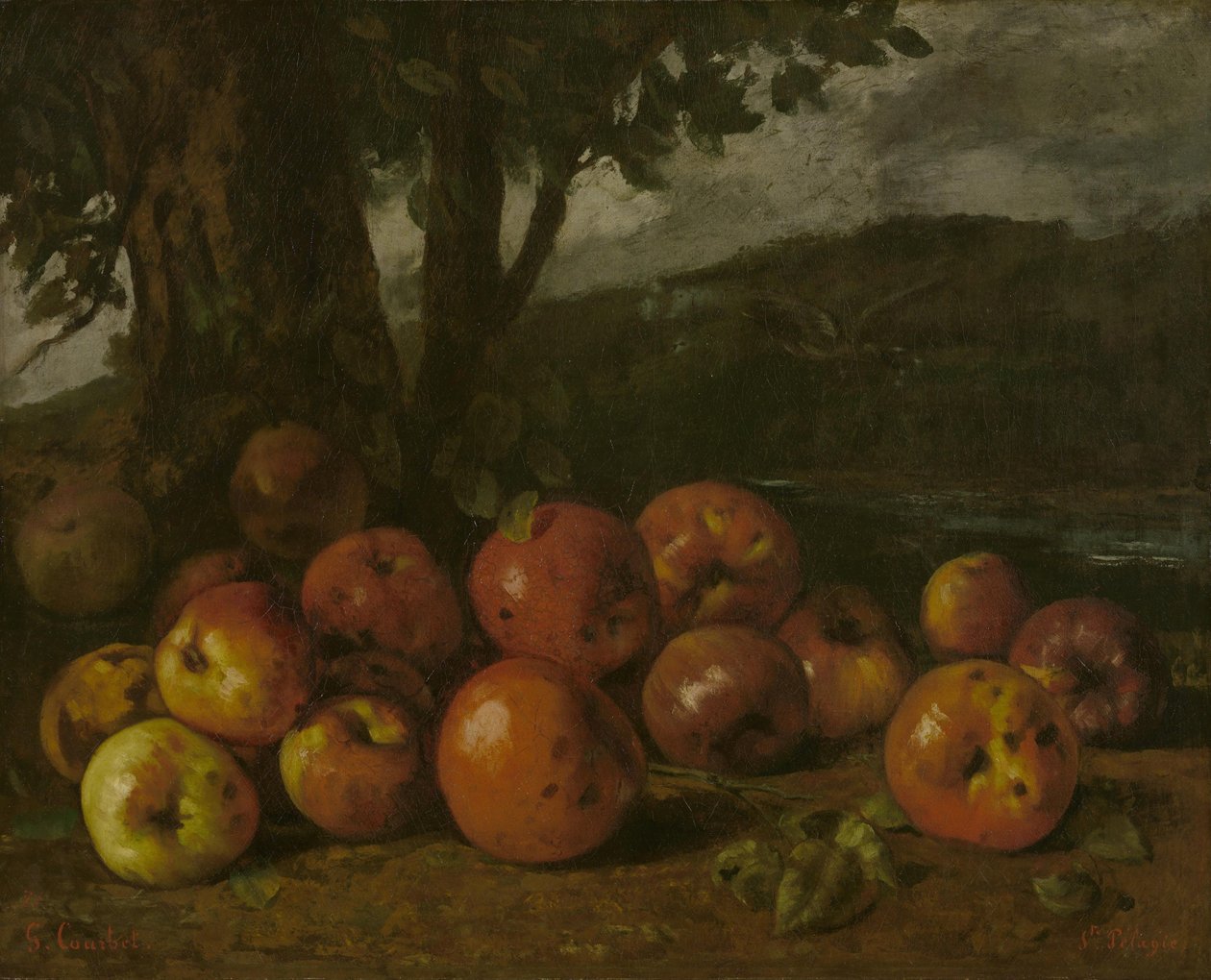 Stilleven met appels door Gustave Courbet