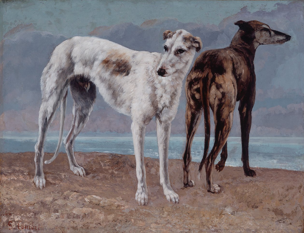 De windhonden van de Comte de Choiseul door Gustave Courbet