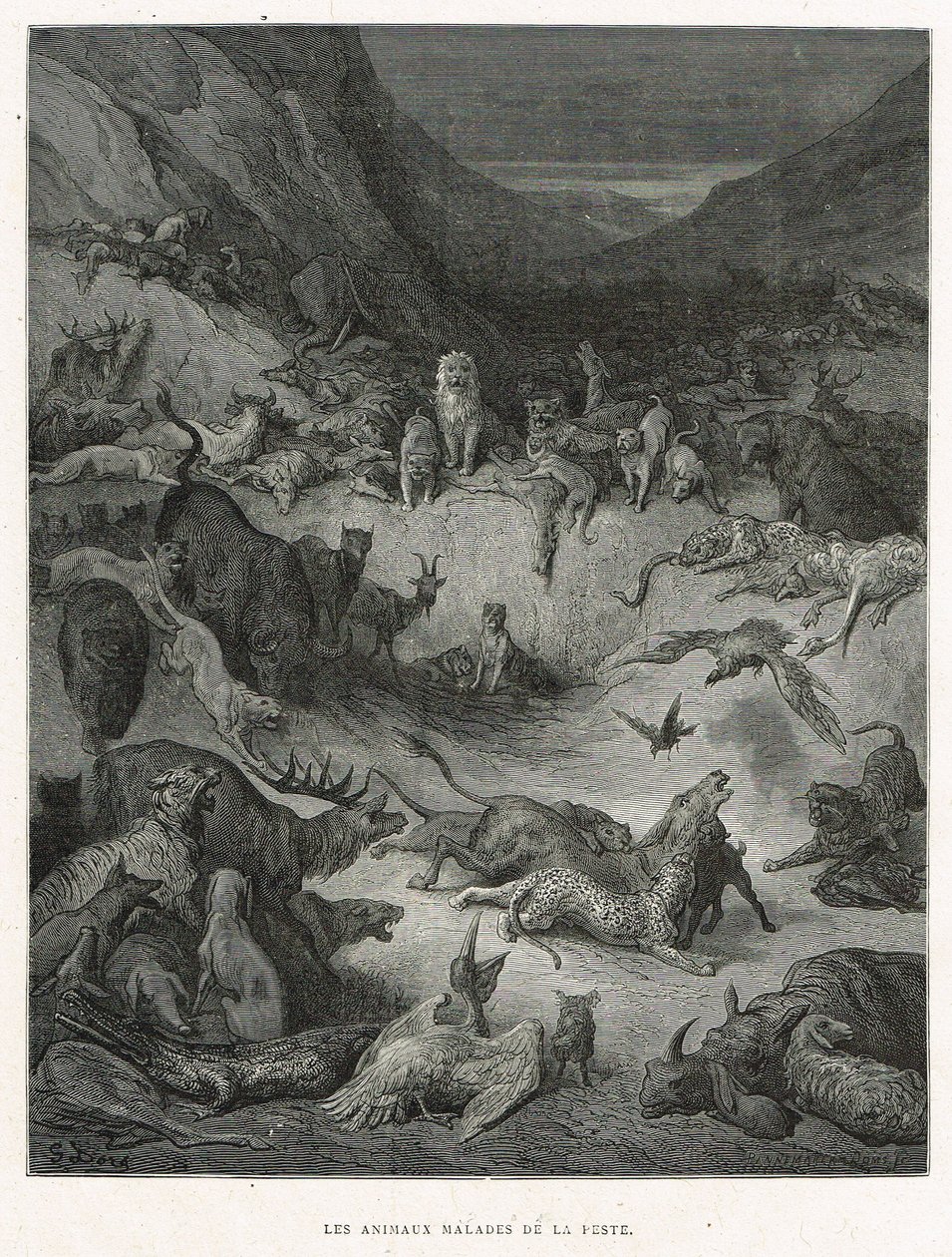 Dieren ziek van de pest door Gustave Dore