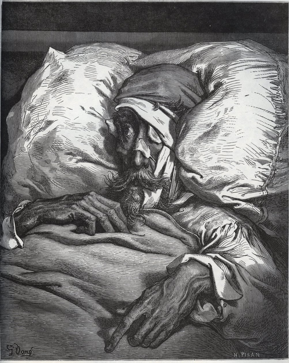 Don Quichot gewond - uit 