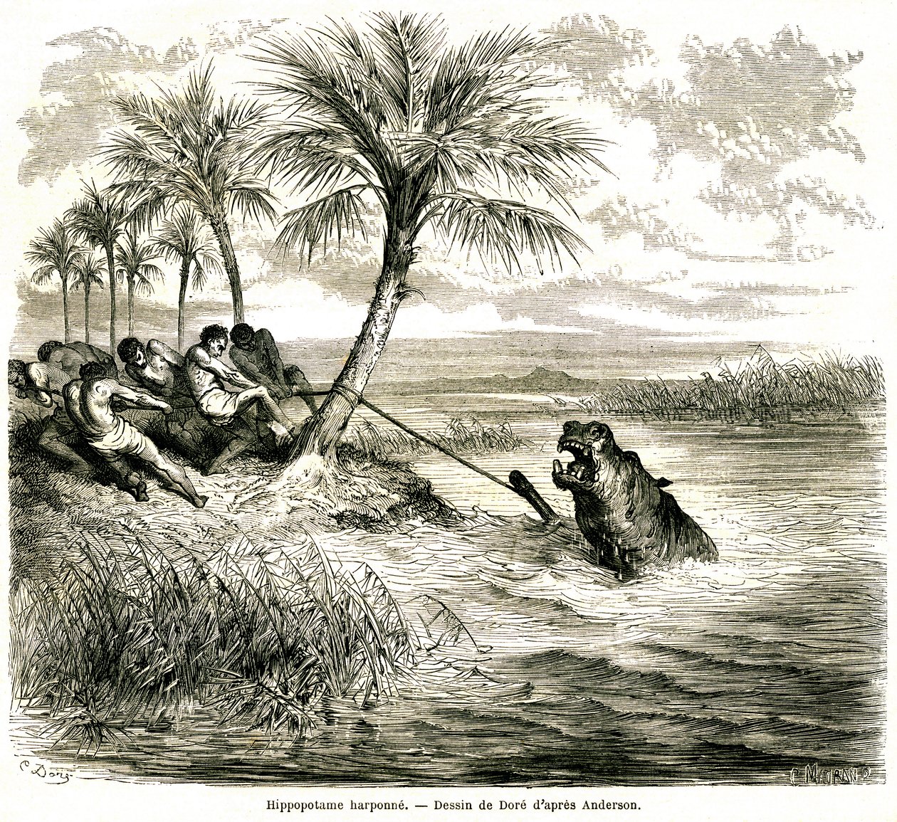 Jacht op de rivier Teoghe, zijrivier van de Ngami. Nijlpaard harpoen. Gravure door Gustave Doré ter illustratie van de avonturen en jacht van reiziger Charles-Jean Anderson in Zuid-Afrika, gepubliceerd in het tijdschrift Le tour du monde, een nieuw tijdsch door Gustave Dore