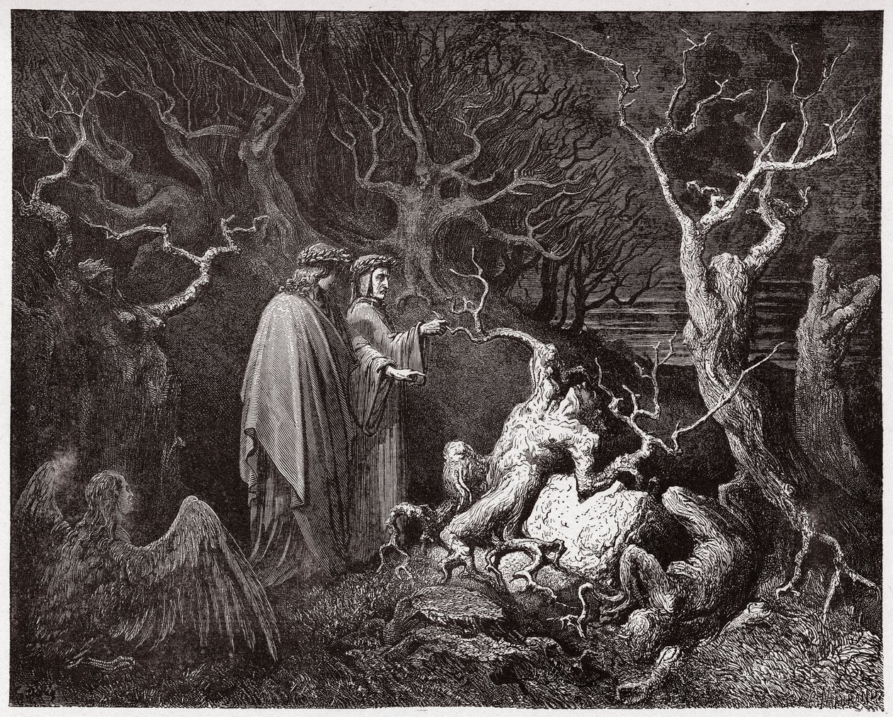 De Goddelijke Komedie (La Divina Commedia), Inferno, Canto 13: De zelfmoordenaars in het bos - door Dante Alighieri (1265-1321) - Illustratie door Gustave Doré (1832-1883) door Gustave Dore