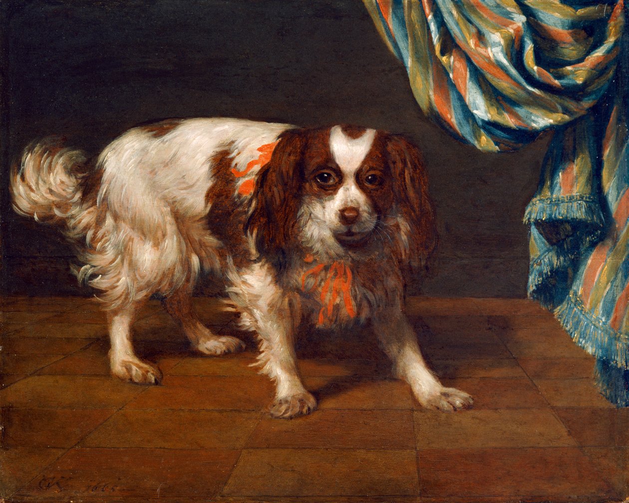 Een King Charles Spaniël door Gysbert van de Kuyl