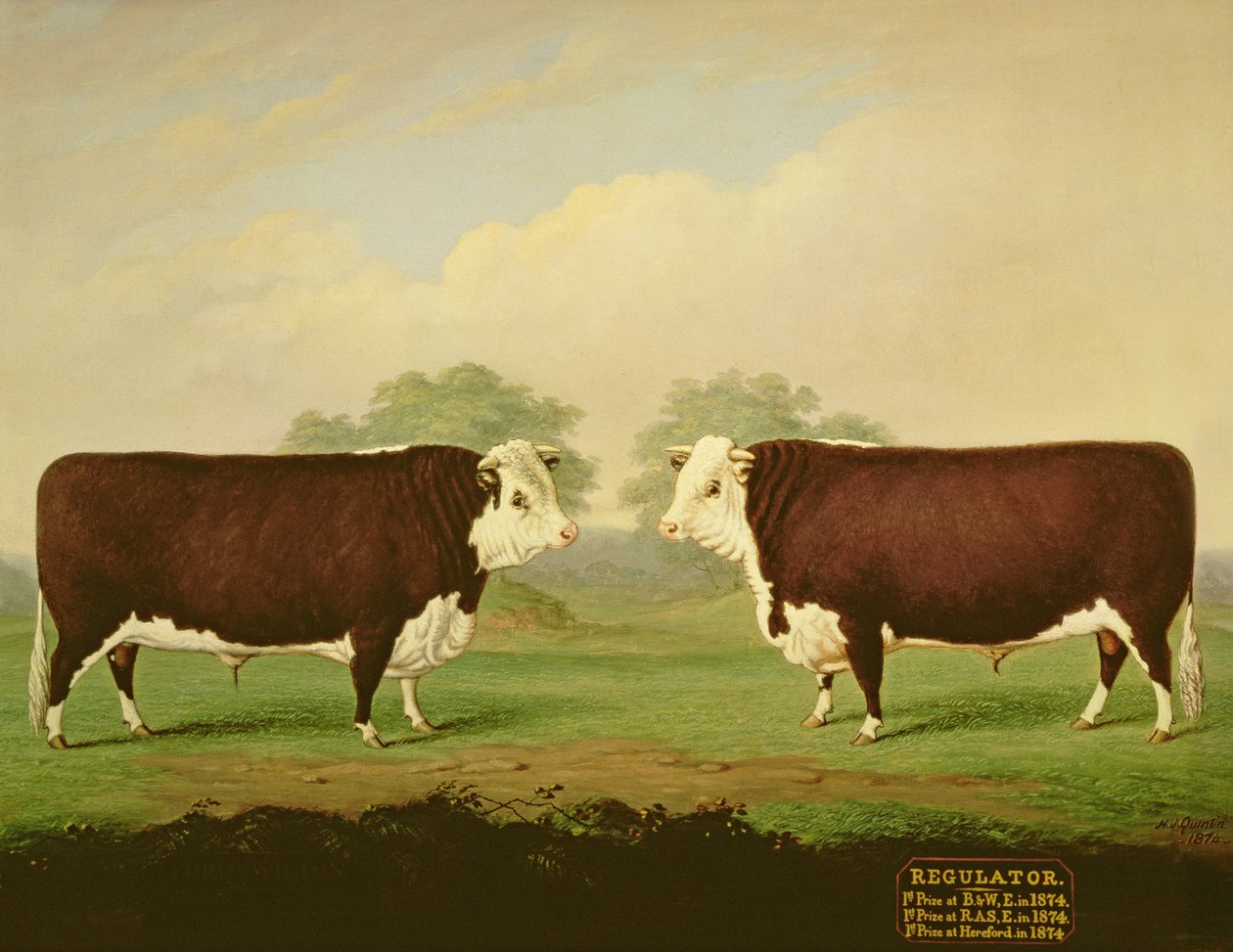 Twee uitzichten van een prijsstier, genaamd Regulator door H.J. Quintin