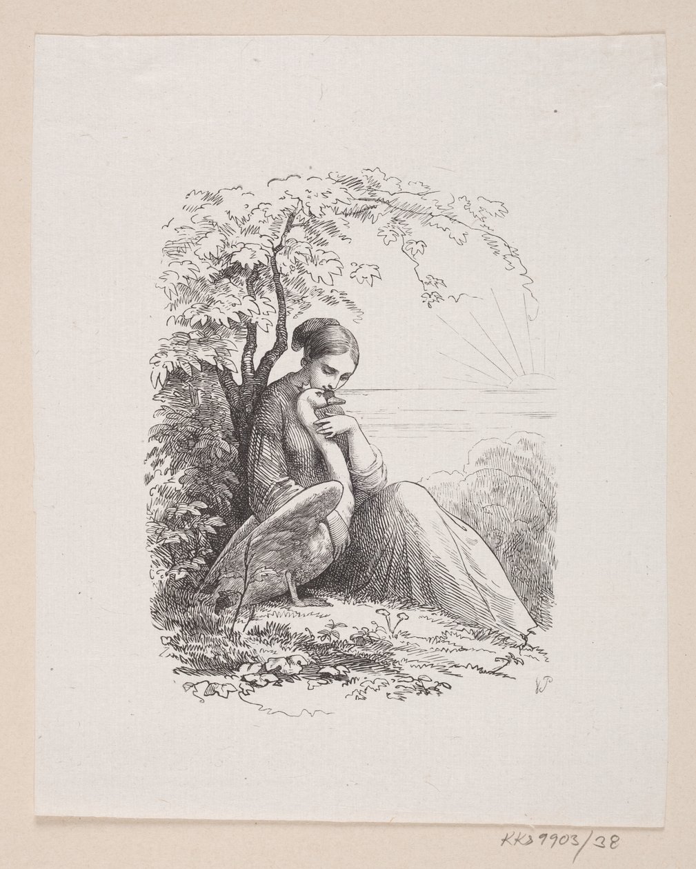 Illustratie voor "De wilde zwanen" in H.C. Andersen, "Sprookjes en verhalen", Deel 1 door H.P. Hansen