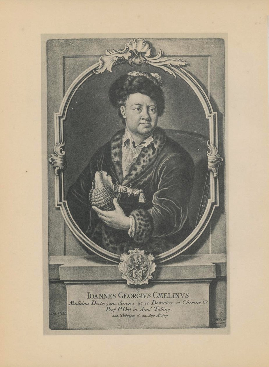 Portret van de natuuronderzoeker, botanicus en geograaf Johann Georg Gmelin 1709-1755, midden 18e eeuw door Haid