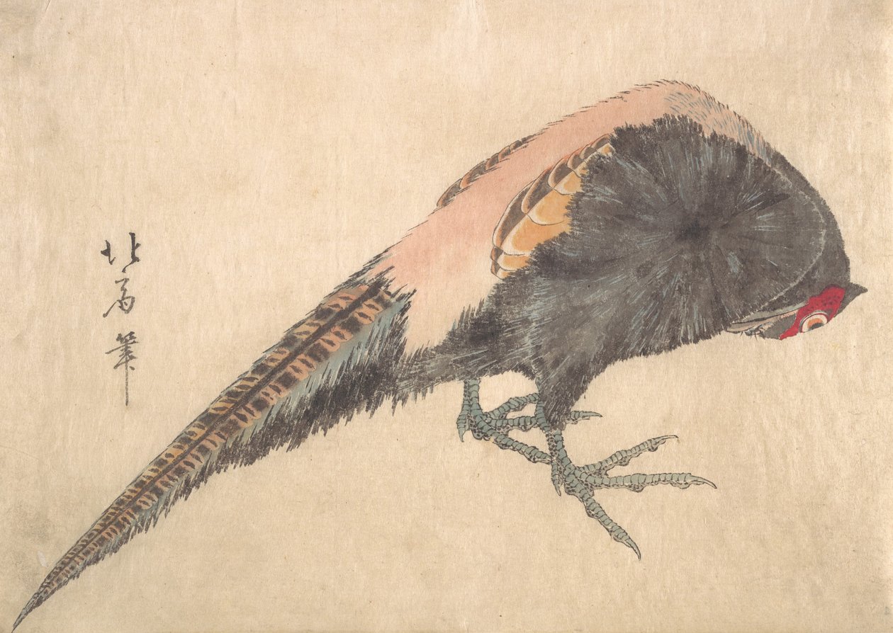 Vogel door Hakusanjin Hokui