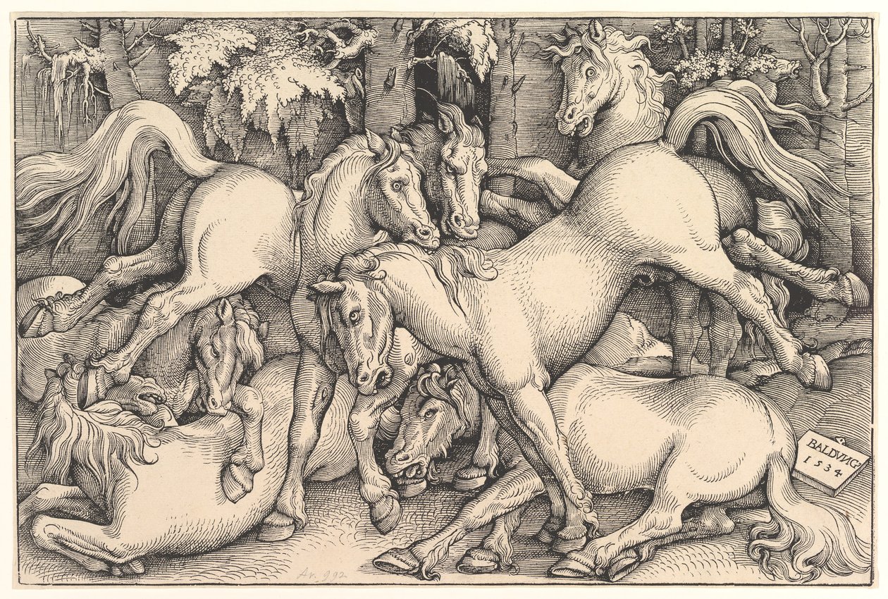 Groep van zeven paarden, 1534 door Hans Baldung