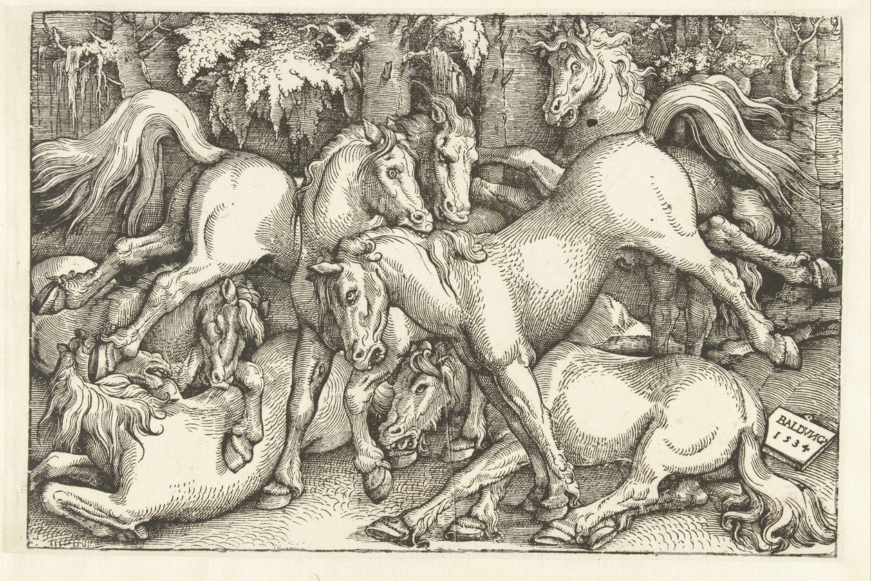 Groep van zeven vechtende paarden door Hans Baldung Grien