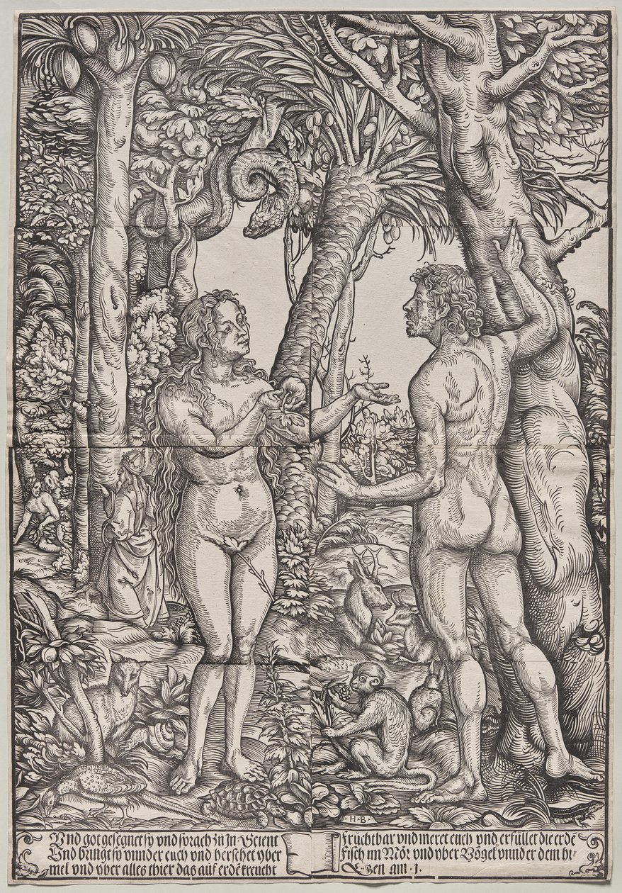 De zondeval van Adam en Eva door Hans Burgkmair