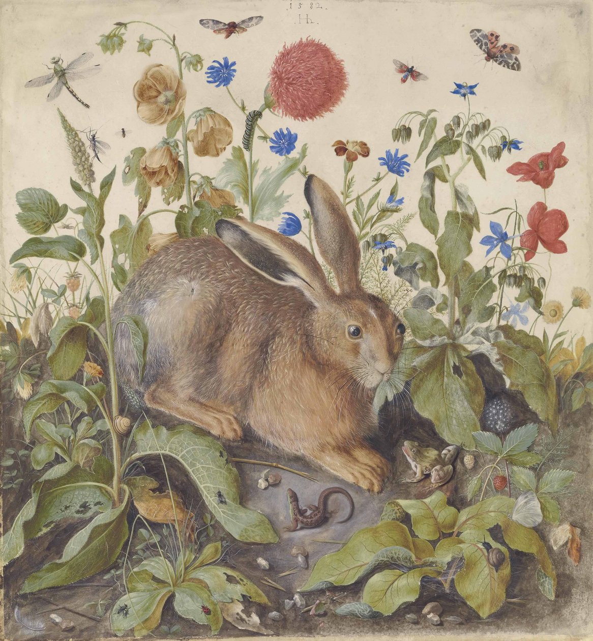 Een haas tussen planten, 1582 door Hans Hoffmann