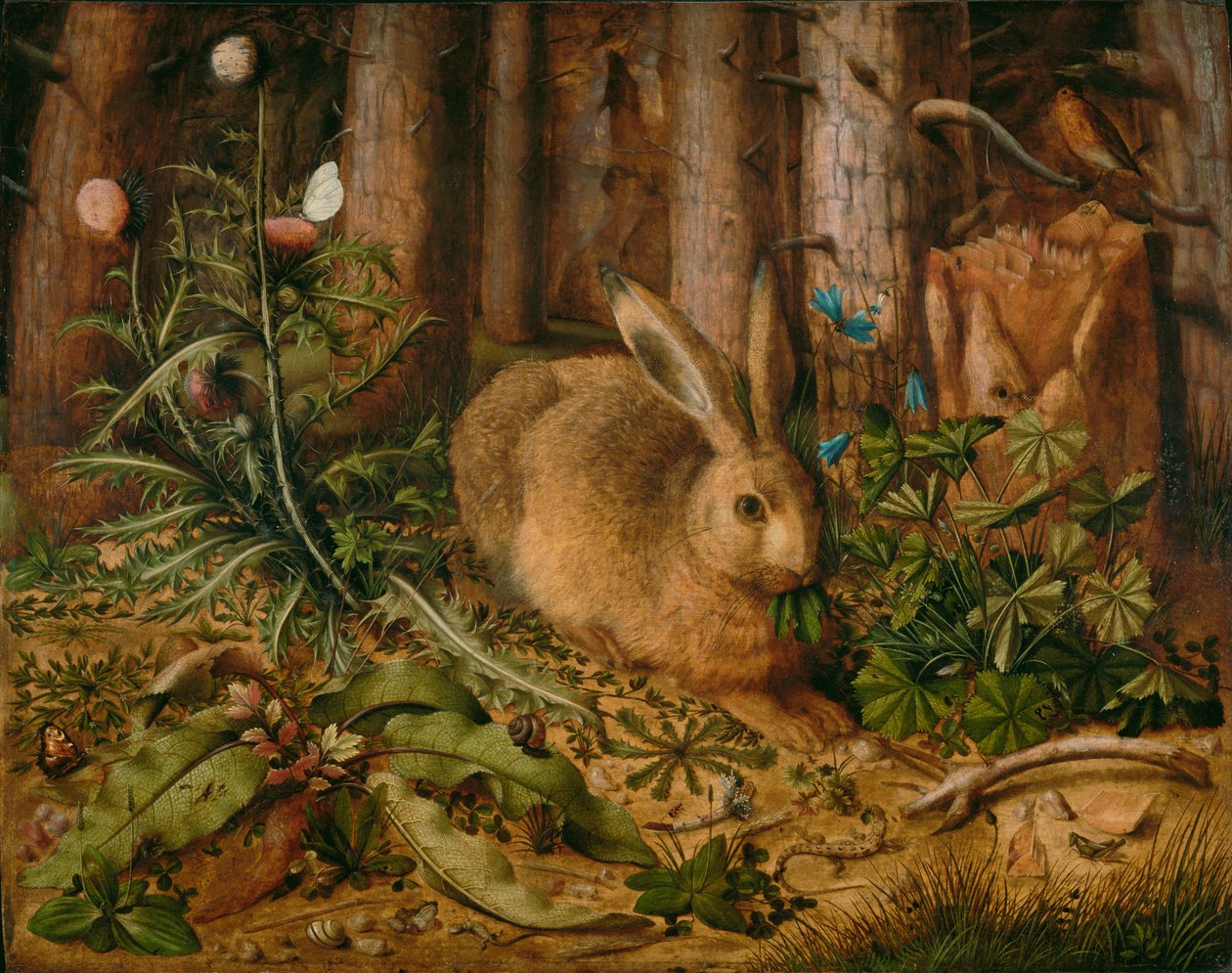 Een haas in het bos door Hans Hoffmann