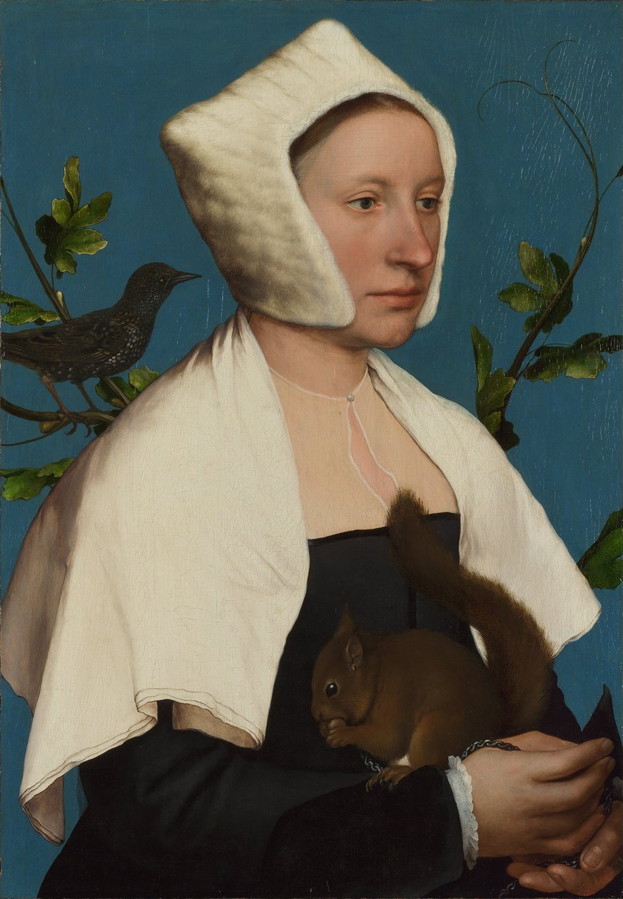 Een dame met een eekhoorn en een spreeuw (Anne Lovell)  door Hans Holbein the Younger