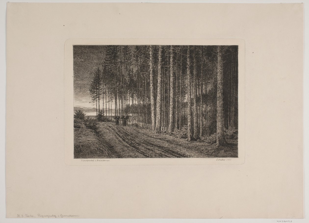 Regenachtige dag in het sparrenbos door Hans Julius Fæster