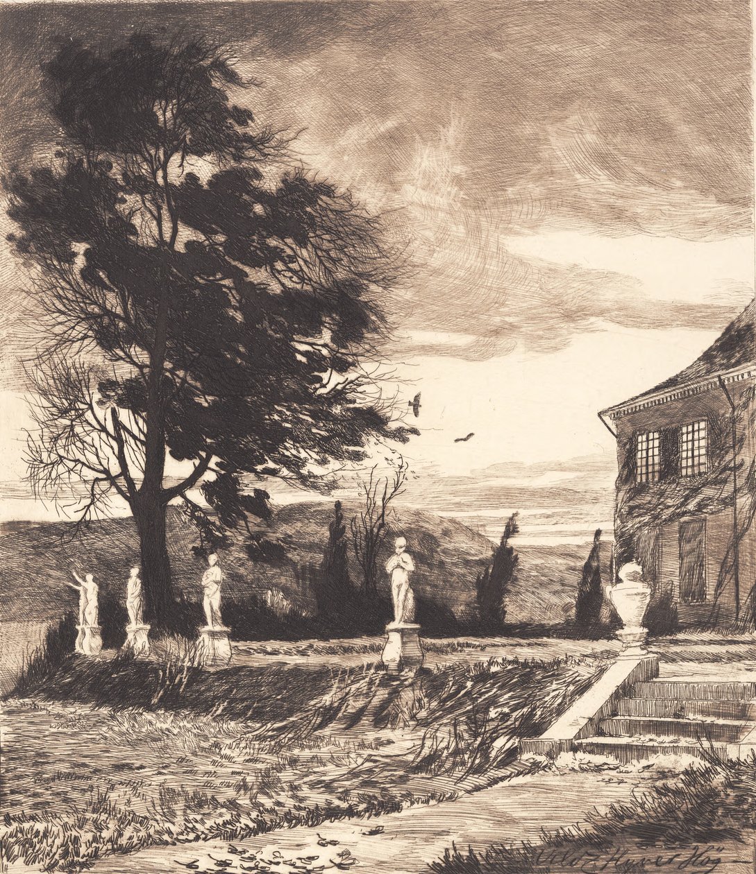 "Wild vliegt de havik" door Hans Nikolaj Hansen