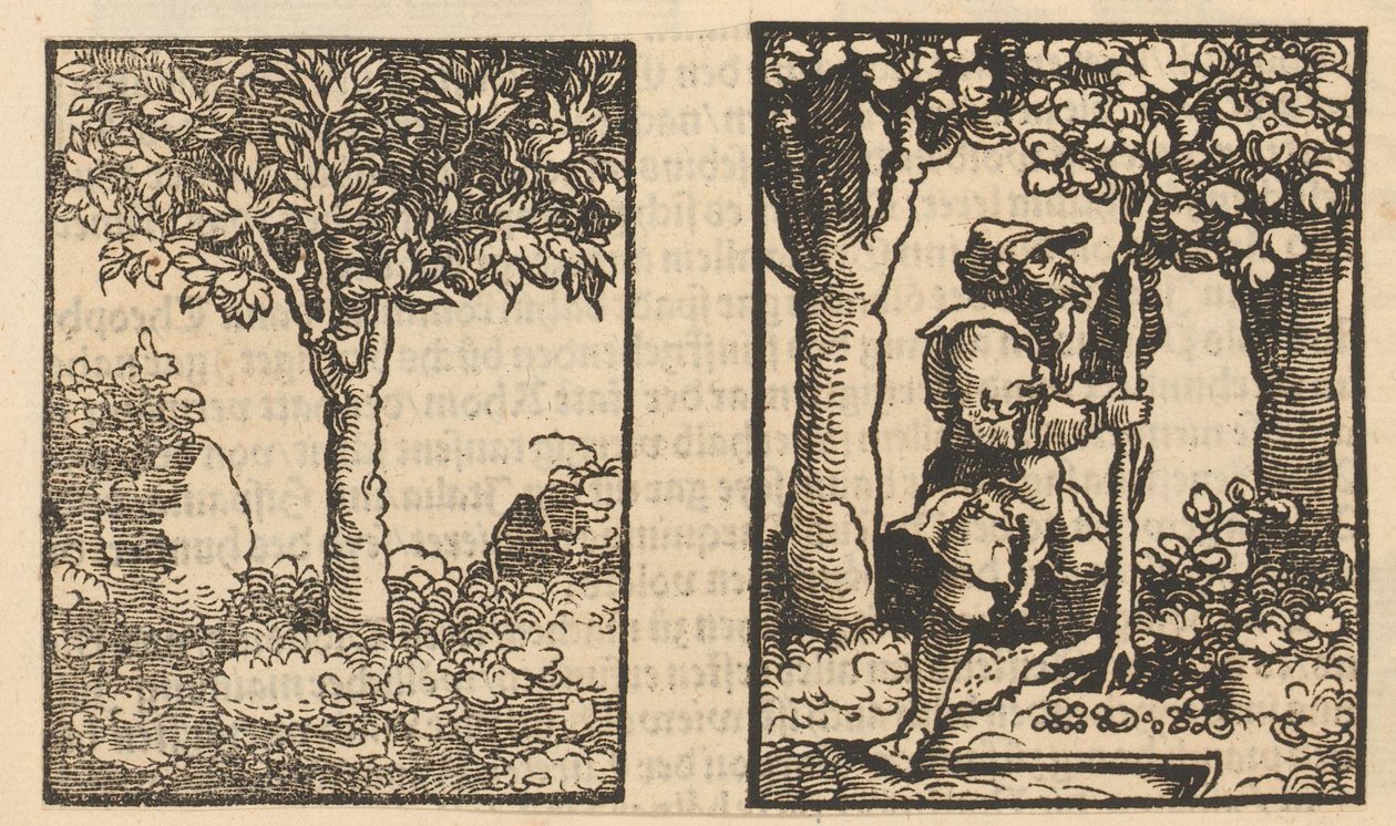 Boom en voorstelling van een fruitplukker tussen bomen door Hans Schäufelein (possibly)