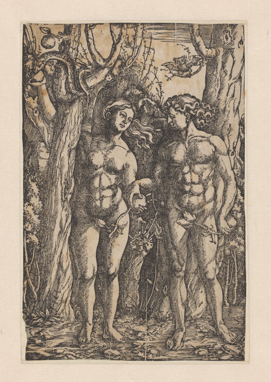 De zondeval door Hans Springinklee