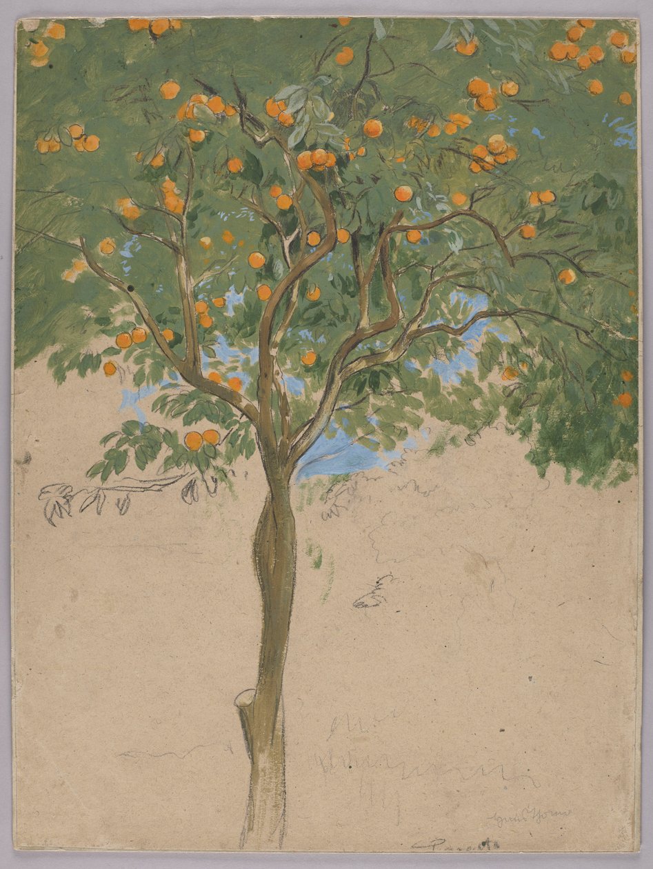 Sinaasappelboom door Hans Thoma