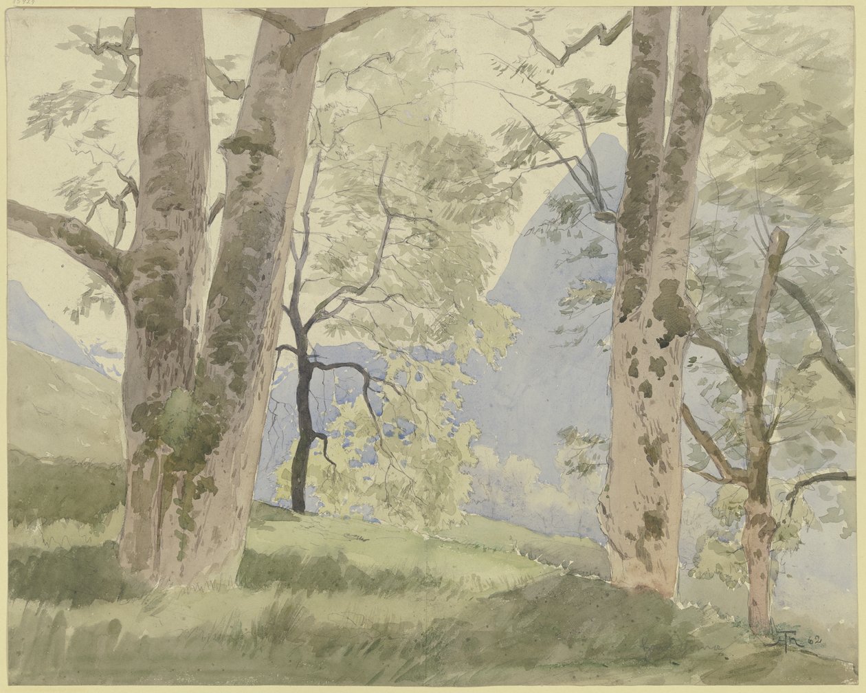 Landschap in het Zwarte Woud: uitzicht vanaf de bosrand op de bergen door Hans Thoma
