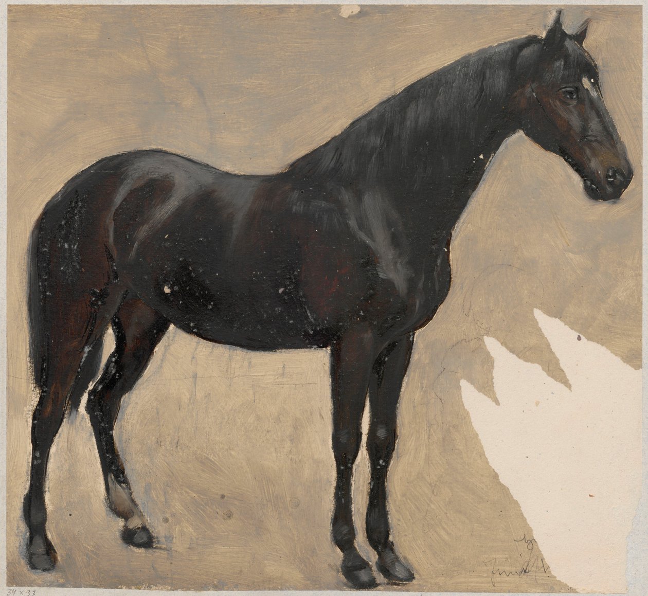 Een studie over het paard door Hans Thoma