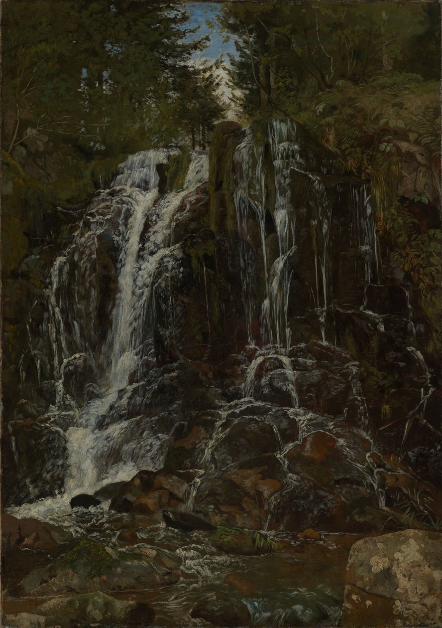 Waterval bij St. Blasien door Hans Thoma