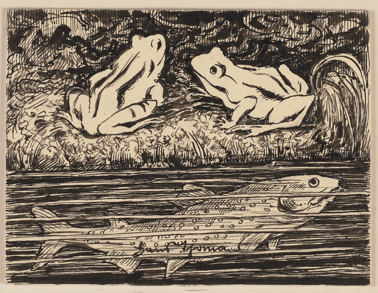 Tekening voor een leesboek: kikker door Hans Thoma