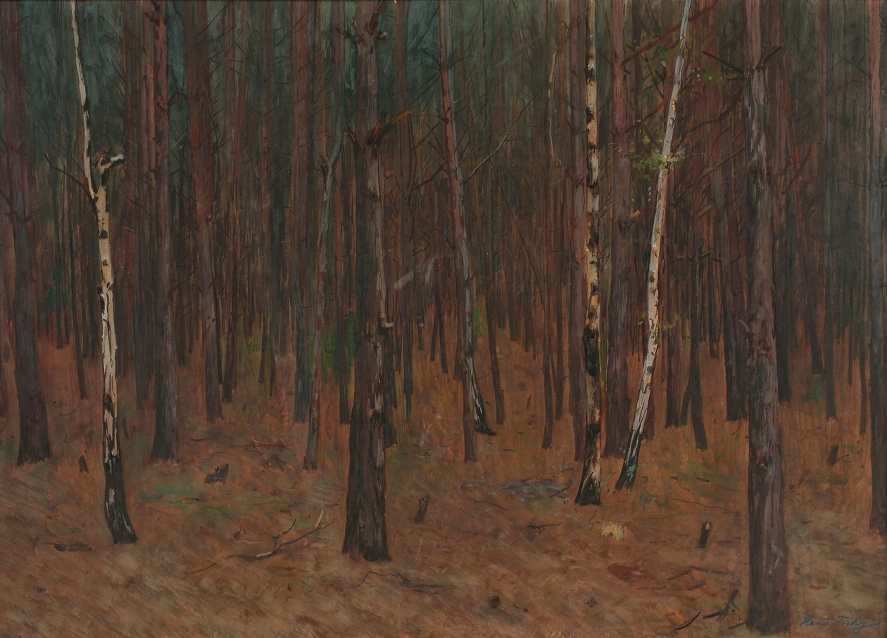 Binnen in het Bos door Hans Tichy