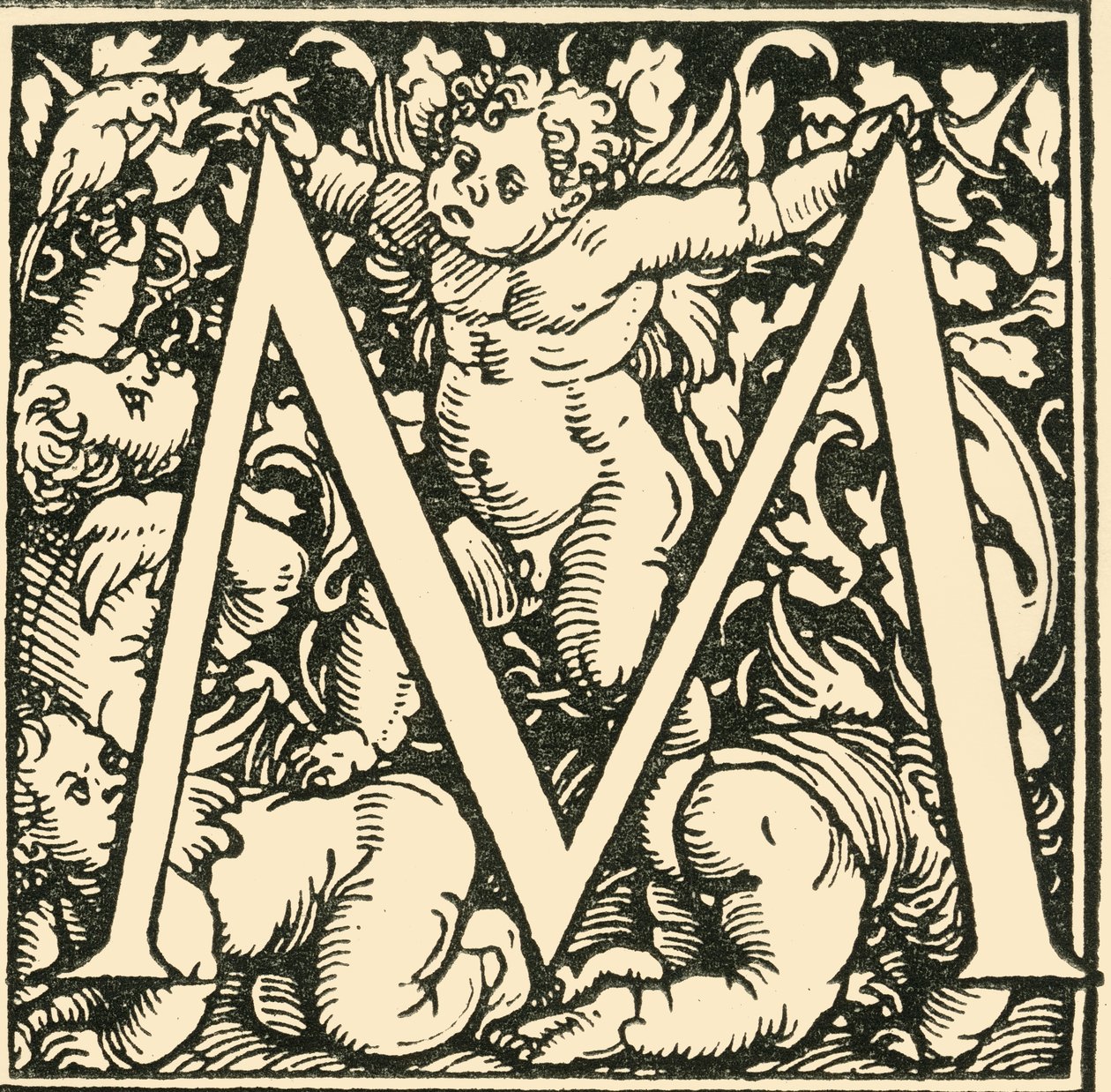 M - Een Alfabet door Hans Weiditz, c1520-1521, 1908 door Hans Weiditz