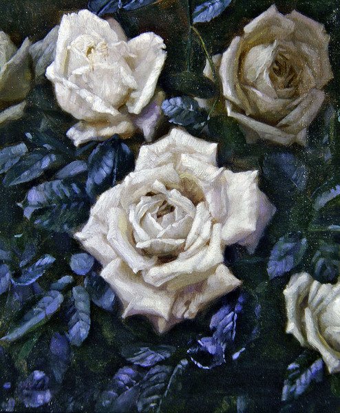 Witte Rozen door Harold Oakley