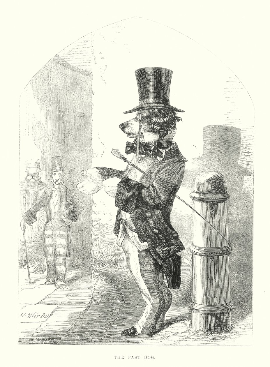 Grappige honden: de snelle hond (gravure) door Harrison William Weir