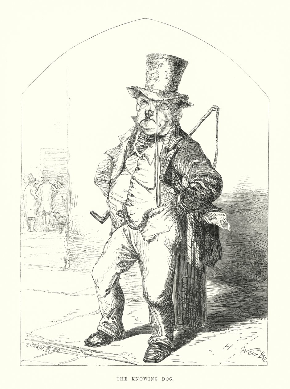 Grappige honden: de wetende hond (gravure) door Harrison William Weir