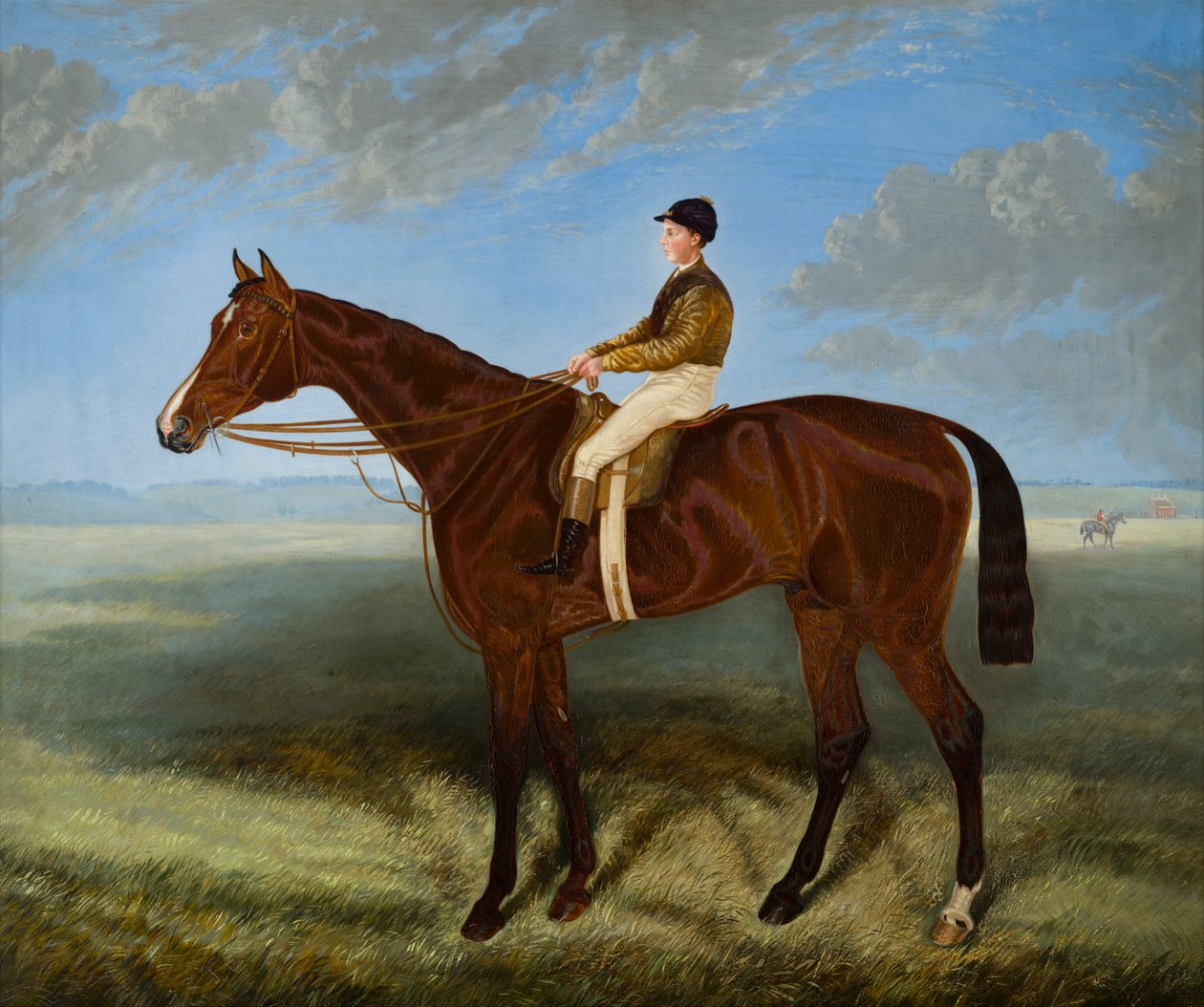 Salpinctes-een renpaard, ca. 1814-82 door Harry (after) Hall