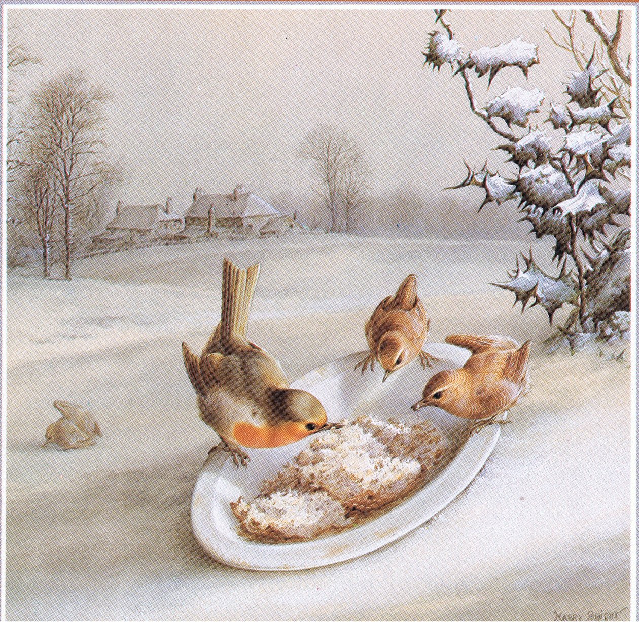 Roodborstjes en Winterkoninkjes: Winterontbijt, Ansichtkaart door Harry Bright